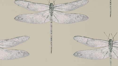 Demoiselle 111241